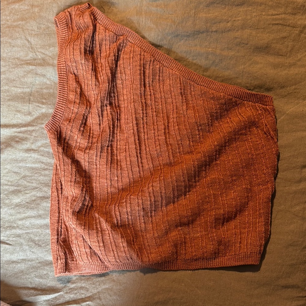 Free People Rust One-Shoulder Knit Top